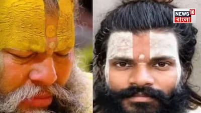 এল ময়নবাতদন্তের রিপোর্ট