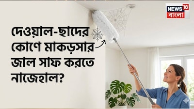 দেওয়ালের কোণায়, বিশেষ করে যেখানে দেয়াল ছাদ বা মেঝের সঙ্গে মিলিত হয়, সেখানে প্রায়শই ধুলো এবং মাকড়সার জাল জমে। পুরো জায়গাটি নতুন করে রঙ করার পরিবর্তে, কয়েকটি সহজ পরিষ্কার করার পদ্ধতি রঙের কোনও ক্ষতি না করেই আলগা ধুলো, দাগ এবং জমে থাকা ময়লা দূর করতে সাহায্য করতে পারে। (AI Image)
