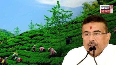 পুজোর আগে বোনাস
