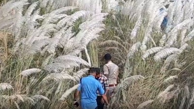নির্জন কাশফুলের বনে এ কী কাণ্ড