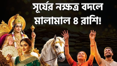 সূর্য গোচরে কাদের লাভ?