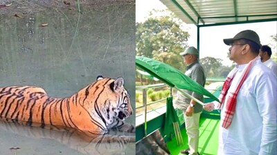 বক্সায় রয়্যাল বেঙ্গল ছাড়লেন মুখ্যমন্ত্রী শুভেন্দু অধিকারী