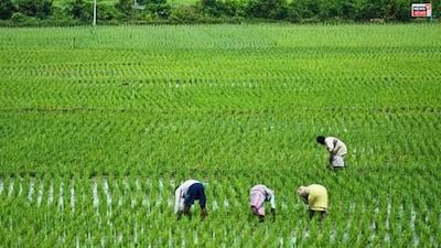 কৃষিযন্ত্রে ৮০ শতাংশ পর্যন্ত ভর্তুকি