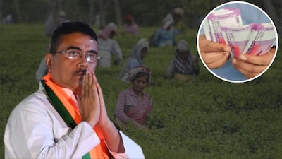 বড় সুখবর শোনালেন মুখ্যমন্ত্রী
