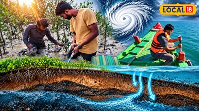 আইআইটি খড়গপুরের গবেষকদের সুন্দরবন অঞ্চলে ভূগর্ভস্থ জলস্তর ও পিজোমিটার মাধ্যমে নোনা জলের অনুপ্রবেশ পরীক্ষার কাজ (ছবিঃ এআই)