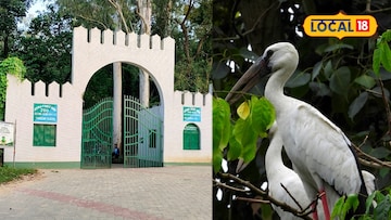 Weekend Trip: শামুকখোলের দোসর হরিণ, পাখির ডাক শুনতে শুনতে প্রকৃতি আর ইতিহাসের মাঝে বনভোজন সারতে আসুন এই পার্কে Weekend Trip: শামুকখোলের দোসর হরিণ, পাখির ডাক শুনতে শুনতে প্রকৃতি আর ইতিহাসের মাঝে বনভোজন সারতে আসুন এই পার্কে