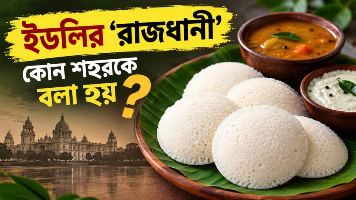 ভারতের কোন শহরকে বলা হয় বিশ্বের ইডলির রাজধানী? আপনি যেটা ভাবছেন ভুল!
