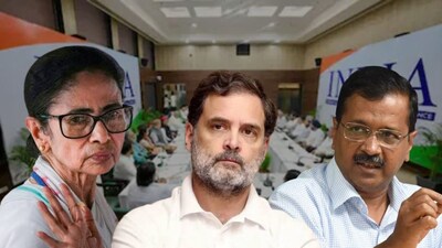 ইন্ডিয়া জোটের মিছিলে যোগ দিচ্ছে না আপ, ডিএমকে