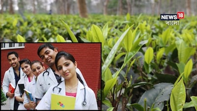 মেডিক্যাল কলেজের জমি দিল মাঝের ডাবরি চা বাগান কর্তৃপক্ষ