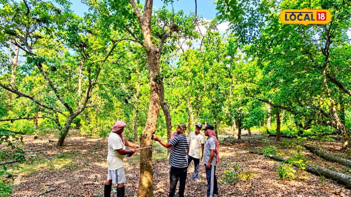 আদিনায় পরিযায়ী পাখি গণনা শুরু, গত বছর ছিল ১৬ হাজার