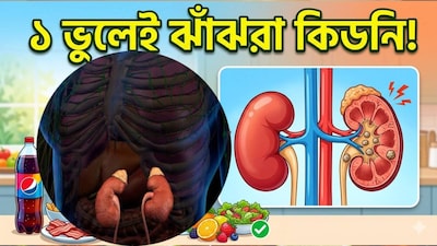 আধুনিক জীবনযাত্রা এবং পরিবর্তিত খাদ্যাভ্যাস অনেক পরিবারের জন্য কিডনির স্বাস্থ্যকে একটি ক্রমবর্ধমান উদ্বেগের কারণ করে তুলেছে। ডায়াবেটিস এবং উচ্চ রক্তচাপের মতো অন্তর্নিহিত রোগগুলো নিয়ন্ত্রণ করা কিডনির কার্যকারিতা বজায় রাখতে একটি গুরুত্বপূর্ণ ভূমিকা পালন করে। আধুনিক চিকিৎসা তথ্য এবং ঐতিহ্যবাহী আয়ুর্বেদিক জ্ঞানের সমন্বয়ে, দৈনন্দিন অভ্যাস সম্পর্কে সচেতন থাকা আপনার কিডনিকে দীর্ঘমেয়াদী ক্ষতি থেকে রক্ষা করতে এবং সেগুলোকে সর্বোত্তমভাবে কাজ করতে সাহায্য করে। (AI Image)
