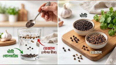 ভারতীয় রান্নায় গোলমরিচের একটি গুরুত্বপূর্ণ ভূমিকা রয়েছে। স্যুপ থেকে শুরু করে স্যালাড, গ্রেভি, গরম মশলা এবং ঘরোয়া প্রতিকার—সবকিছুতেই এটি ব্যবহৃত হয়। একে মশলার রাজাও বলা হয়। কেরালা রাজ্যেই সবচেয়ে বেশি গোলমরিচ উৎপাদিত হয়। কর্ণাটক, তামিলনাড়ু, অন্ধ্রপ্রদেশ, তেলেঙ্গানা এবং গোয়াতেও এর চাষ হয়। এখান থেকেই এটি বাজারে এবং তারপর আপনার রান্নাঘরে পৌঁছায়। (AI Image)