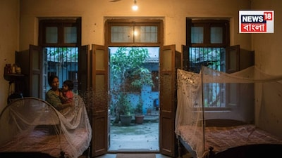 সন্ধ্যায় দীর্ঘ সময়ের জন্য দরজা খোলা রাখবেন না (AI Image)