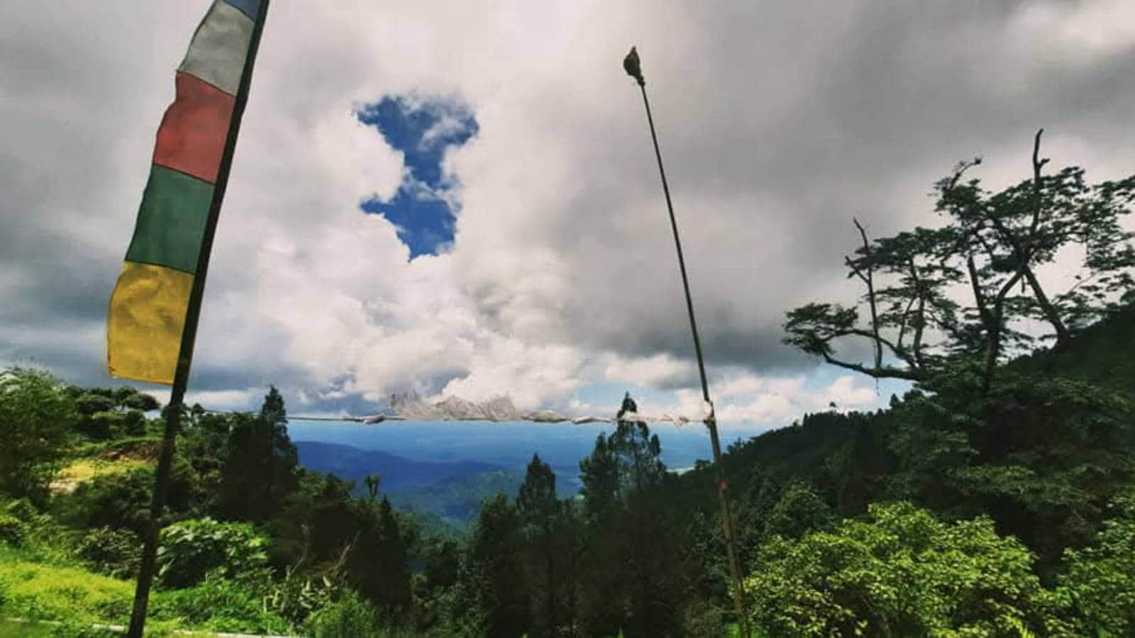 Offbeat Hill Destination: চা বাগানের পাশে পাকদণ্ডী পৌঁছে গিয়েছে মেঘপিওনের ঠিকানায়…কুয়াশায় ঘিরে ধরা পাইনবন দেখতে আসুন কালিম্পংয়ের এই অফবিট গ্রামে Offbeat Hill Destination: চা বাগানের পাশে পাকদণ্ডী পৌঁছে গিয়েছে মেঘপিওনের ঠিকানায়…কুয়াশায় ঘিরে ধরা পাইনবন দেখতে আসুন কালিম্পংয়ের এই অফবিট গ্রামে