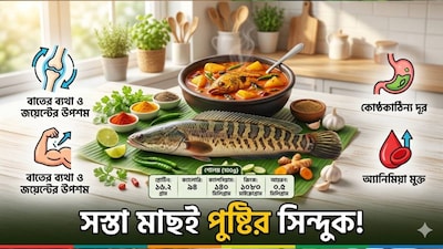 বাচ্চাদের হাড় ও মাংসপেশি লোহার মতো শক্ত করতে দামি ওষুধ বা সাপ্লিমেন্ট নয়, আমাদের চেনা সস্তার শোল মাছই একাই একশো! গ্রাম বাংলার জলাশয়ে সহজলভ্য এই মাছটি পুষ্টির এক জাদুকরী খনি। চিকিৎসকদের মতে, বাড়ন্ত বয়সের শিশুদের ডায়েটে নিয়মিত শোল মাছ রাখলে তাদের হাড়ের গঠন মজবুত হয় এবং পেশির বৃদ্ধি ঘটে দ্রুত। তাই বাচ্চার সঠিক শারীরিক বিকাশের কথা ভেবে আজই পাতে রাখুন এই চেনা পুষ্টিকর মাছ। সোশাল মিডিয়ায় এ বিষয়ে বলছেন বিশেষজ্ঞ চিকিৎসক সন্তোষ জ্যাকব৷