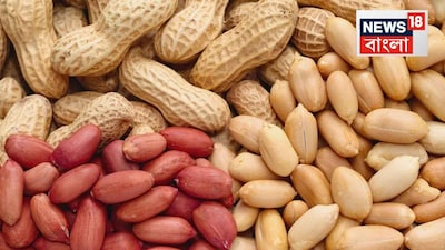 Are You Drinking Water Right After Eating Peanuts? Find Out The Truth