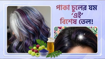 Which Hair Oil Stops Grey Hair and What is the Truth