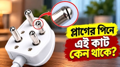 ইলেকট্রিক প্লাগের পিনে ছোট চেরা বা কাট কেন থাকে জানেন? 