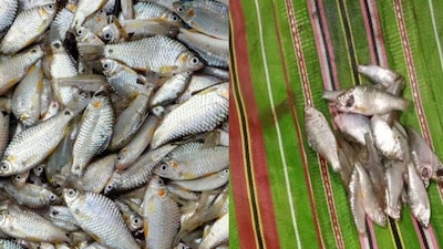 বাজারের ব্যাগ দিয়েই পরিষ্কার করে নিন ঝুড়ি ঝুড়ি পুঁটির সব আঁশ