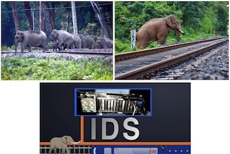 Bee Buzz to Save Elephants: Railways' 'Plan B' Saves 255 Elephants from Train Collisions