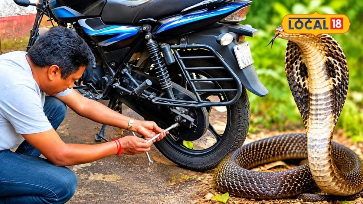চেন কভারের ফুটো দিয়ে ঢুকে সোজা সেঁদিয়ে গেল সিটের নীচে…! বাইকে বিষধর ‘গোখরো সাপ’, শিউরে ওঠা দৃশ্য দেখল জলপাইগুড়ির দিনবাজার! চেন কভারের ফুটো দিয়ে ঢুকে সোজা সেঁদিয়ে গেল সিটের নীচে…! বাইকে বিষধর ‘গোখরো সাপ’, শিউরে ওঠা দৃশ্য দেখল জলপাইগুড়ির দিনবাজার!
