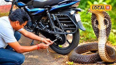 সাপ, বাইকে সাপ, গোখরো সাপ, চেন কভারের ফুটো দিয়ে ঢুকে সোজা সেঁদিয়ে গেল সিটের নীচে, বাইকে বিষধর গোখরো সাপ, শিউরে ওঠা দৃশ্য, জলপাইগুড়ির দিনবাজার, জলপাইগুড়িতে বাইকে সাপ, সাপ, সাপের কামড়, সাপের বিষ, বিষধর সাপ, বিষাক্ত সাপ 