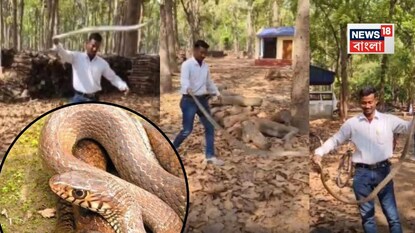 সাপের উপরে নির্মম অত্যাচার
