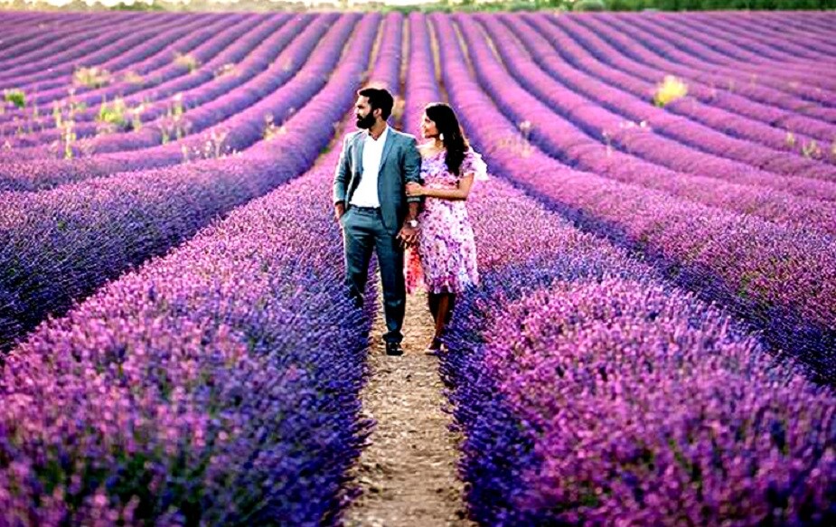 જોકે, દીપિકા પાસેથી હજું પણ મેડલની આશા છે. તે મંગળવારથી શરૂ થઈ રહેલ ડબલ્સ અને મિક્સડ ડબલ્સ મુકાબલાઓમાં પડકાર રજૂ કરશે. જોકે, દીપિકા પાસેથી હજું પણ મેડલની આશા છે. તે મંગળવારથી શરૂ થઈ રહેલ ડબલ્સ અને મિક્સડ ડબલ્સ મુકાબલાઓમાં પડકાર રજૂ કરશે.