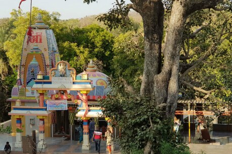 'પ્રાણી કલ્યાણ' માટે કનકાઇના યજ્ઞમાં જઇ રૂપાણી ગીરજંગલનું નખ્ખોદ વાળશે! 'પ્રાણી કલ્યાણ' માટે કનકાઇના યજ્ઞમાં જઇ રૂપાણી ગીરજંગલનું નખ્ખોદ વાળશે!
