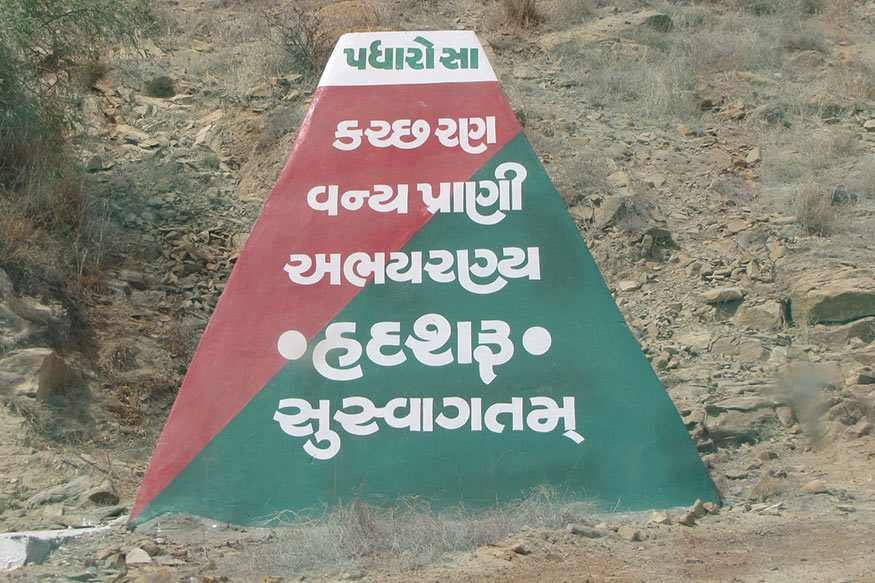 વાઇલ્ડલાઇફ મેનેજમેન્ટ સાથે સંકળાયેલા લોકો કહે છે કે, શિયાળ એ શાકાહારી નથી પણ કાળા ડુંગર પર પ્રસાદ રૂપે ભાત આપવામાં આવે છે અને તે આરોગે છે. મનોવિજ્ઞાનની કદાય પાવલોવિયન ઇફેક્ટ પણ હોઇ શકે. પણ આ બધાની વચ્ચે વન્ય પ્રાણી ભુખ્યુ ન રહે એ સંત પરંપરાનું આ જીવતું જાગતુ ઉદાહરણ છે. વાઇલ્ડલાઇફ મેનેજમેન્ટ સાથે સંકળાયેલા લોકો કહે છે કે, શિયાળ એ શાકાહારી નથી પણ કાળા ડુંગર પર પ્રસાદ રૂપે ભાત આપવામાં આવે છે અને તે આરોગે છે. મનોવિજ્ઞાનની કદાય પાવલોવિયન ઇફેક્ટ પણ હોઇ શકે. પણ આ બધાની વચ્ચે વન્ય પ્રાણી ભુખ્યુ ન રહે એ સંત પરંપરાનું આ જીવતું જાગતુ ઉદાહરણ છે.