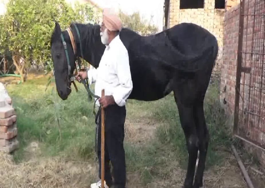 પોલીસમાં ફરિયાદ આપતી વખતે તેમણે જણાવ્યું કે તેઓ મોંઘી નસ્લના ઘોડા ખરીદતા રહે છે. તાજેતરમાં તે એક ઘોડાની ખરીદી કરવા માટે બરનાલા પહોંચ્યાં હતા. પોલીસમાં ફરિયાદ આપતી વખતે તેમણે જણાવ્યું કે તેઓ મોંઘી નસ્લના ઘોડા ખરીદતા રહે છે. તાજેતરમાં તે એક ઘોડાની ખરીદી કરવા માટે બરનાલા પહોંચ્યાં હતા.