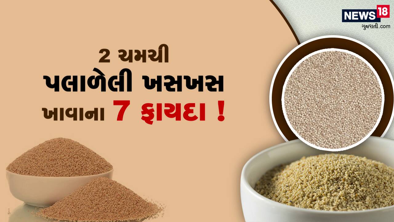 2 ચમચી પલાળેલી ખસખસનો કમાલ! જાણવા જેવી વાત News18 ગુજરાતી