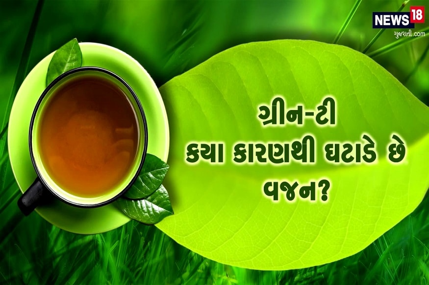 ગ્રીન ટી પીવાથી મેદસ્વીતા ખરેખર ઘટે? પેટ પરથી ચરબીના થર ઉતારવા ગ્રીન ટી કેટલી અસરકારક? જાણો આ કારણ ગ્રીન ટી પીવાથી મેદસ્વીતા ખરેખર ઘટે? પેટ પરથી ચરબીના થર ઉતારવા ગ્રીન ટી કેટલી અસરકારક? જાણો આ કારણ