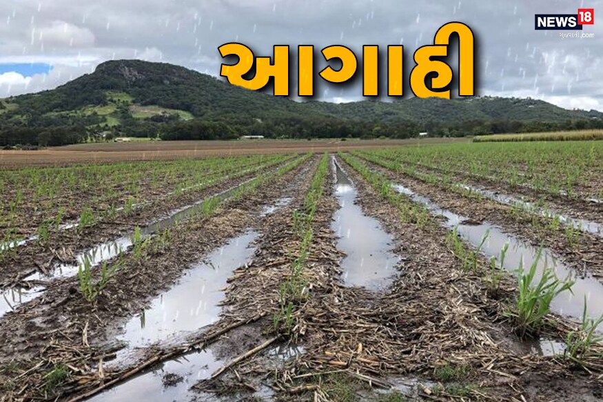 ચાલુ વર્ષે ખેડૂતો માટે ખુશીના સમાચાર મળી રહ્યા છે, અવકાશી સ્થિતિ અને ભડલી વાક્યો અનુસાર વર્ષા વિજ્ઞાન મંડળના સભ્યએ આ વર્ષે ખુબ સારો અને વહેલો વરસાદ થશે તેવી આગાહી કરી છે. ચાલુ વર્ષે ખેડૂતો માટે ખુશીના સમાચાર મળી રહ્યા છે, અવકાશી સ્થિતિ અને ભડલી વાક્યો અનુસાર વર્ષા વિજ્ઞાન મંડળના સભ્યએ આ વર્ષે ખુબ સારો અને વહેલો વરસાદ થશે તેવી આગાહી કરી છે.