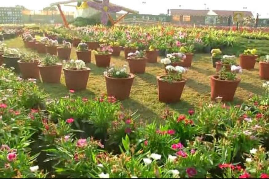 આ સિવાય વિવિધ પેટા વિભાગોની માહિતી પૂરા પાડતા સ્ટોલ્સ, દેશ અને શહેરની 7 જેટલી જાણીતી નર્સરીના પ્રદર્શન અને વેચાણ કેન્દ્ર પણ રહેશે. ખાતર-બિયારણ, જંતુનાશક દવા અને બાયાયગી સાધનો સાથે સંકળાયેલી કંપનીઓના સ્ટોલ્સ રહેશે, જેથી લોકો પોતાના ઘરના બાગને પણ સુશોભિત કરી શકે. આ સિવાય વિવિધ પેટા વિભાગોની માહિતી પૂરા પાડતા સ્ટોલ્સ, દેશ અને શહેરની 7 જેટલી જાણીતી નર્સરીના પ્રદર્શન અને વેચાણ કેન્દ્ર પણ રહેશે. ખાતર-બિયારણ, જંતુનાશક દવા અને બાયાયગી સાધનો સાથે સંકળાયેલી કંપનીઓના સ્ટોલ્સ રહેશે, જેથી લોકો પોતાના ઘરના બાગને પણ સુશોભિત કરી શકે.