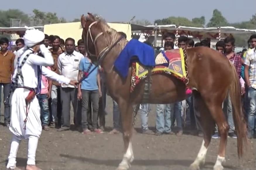 વીસરાતી જતી ગીરગાય ગીર ખુંટ સહીત કાઠિયાવાડી અશ્વની જાતિને બચાવવાના હેતુથી પ્રદર્શનનું આયોજન કરવામાં આવ્યું હતું. લોકો ગીરગાય, ગીરખુંટ સહિત કાઠિયાવાડી અશ્વની જાતિને બચાવવાના પણ સંકલ્પ લેવડાવામાં આવ્યા હતા. વીસરાતી જતી ગીરગાય ગીર ખુંટ સહીત કાઠિયાવાડી અશ્વની જાતિને બચાવવાના હેતુથી પ્રદર્શનનું આયોજન કરવામાં આવ્યું હતું. લોકો ગીરગાય, ગીરખુંટ સહિત કાઠિયાવાડી અશ્વની જાતિને બચાવવાના પણ સંકલ્પ લેવડાવામાં આવ્યા હતા.