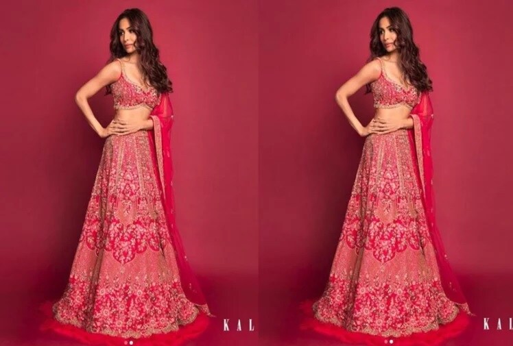 મલાઇકાએ હેવી ઇયરિંગસ સાથે લાઇટ મેકઅપ અને પિંક લિપ્સટિક સાથે તેમના લૂકને પૂર્ણ કર્યો છે. આ સાથે હેર સ્ટાઇલમાં વેવ કર્લ વાળ કરાવ્યા હતા. મલાઇકાએ હેવી ઇયરિંગસ સાથે લાઇટ મેકઅપ અને પિંક લિપ્સટિક સાથે તેમના લૂકને પૂર્ણ કર્યો છે. આ સાથે હેર સ્ટાઇલમાં વેવ કર્લ વાળ કરાવ્યા હતા.