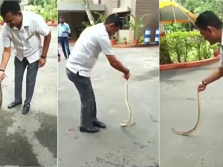 વિરોધ પક્ષના નેતા પરેશ ધાનાણીના ગાંધીનગર સ્થિત નિવાસસ્થાને ઝેરી સાપ નીકળ્યો હતો. જોકે, ઝેરી એવા રસેલ્સ વાઈપર (ખડચિતરો) સાપને ધાનાણીએ જાતે જ પકડી લીધી હતો. તેમની આ હિંમત જોઈને તેમના સ્ટાફને પણ આંચકો લાગ્યો હતો. પરેશ ધાનાણીના આ પરાક્રમનો વીડિયો સોશિયલ મીડિયામાં પણ ધણો વાયરલ થયો હતો. વિરોધ પક્ષના નેતા પરેશ ધાનાણીના ગાંધીનગર સ્થિત નિવાસસ્થાને ઝેરી સાપ નીકળ્યો હતો. જોકે, ઝેરી એવા રસેલ્સ વાઈપર (ખડચિતરો) સાપને ધાનાણીએ જાતે જ પકડી લીધી હતો. તેમની આ હિંમત જોઈને તેમના સ્ટાફને પણ આંચકો લાગ્યો હતો. પરેશ ધાનાણીના આ પરાક્રમનો વીડિયો સોશિયલ મીડિયામાં પણ ધણો વાયરલ થયો હતો.