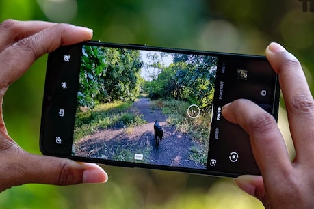 આવી દેખાય છે OnePlus 7 Proમાંથી ક્લિક થયેલી તસવીરો, ટ્રિપલ કેમેરાનો રિવ્યૂ આવી દેખાય છે OnePlus 7 Proમાંથી ક્લિક થયેલી તસવીરો, ટ્રિપલ કેમેરાનો રિવ્યૂ