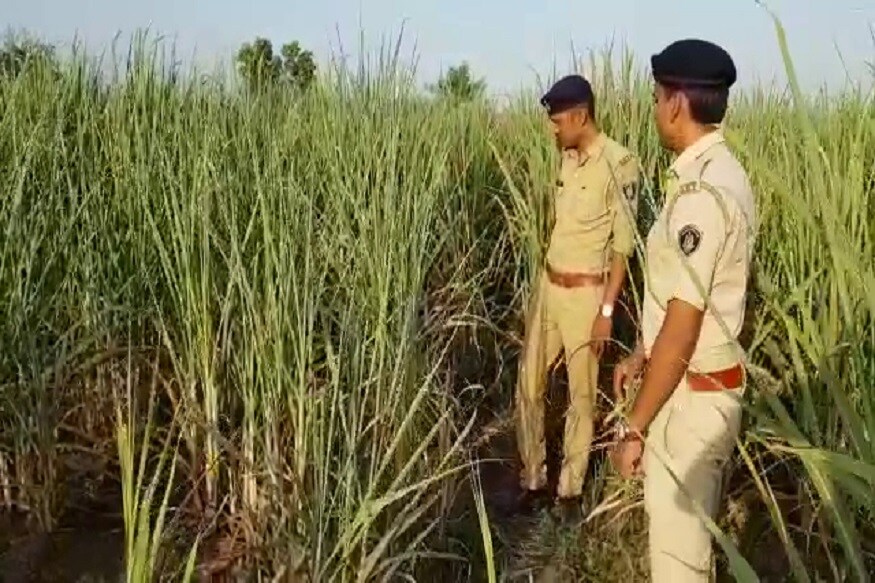 મળતી માહિતી પ્રમાણે પલસાણા તાલુકાના માખીંગા ગામમાં આંબાવાડીની સુરેન્દ્ર નામનો વ્યક્તિ ચોકીદારી કરતો હતો. મળતી માહિતી પ્રમાણે પલસાણા તાલુકાના માખીંગા ગામમાં આંબાવાડીની સુરેન્દ્ર નામનો વ્યક્તિ ચોકીદારી કરતો હતો.
