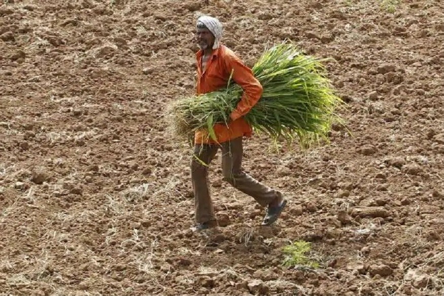 ગુજરાતમાં ગયા વર્ષ કરતા આ વર્ષે વાવેતર વહેલા થયું છે અને વધુ પ્રમાણમાં વધારે થયું છે. વરસાદ ખેંચાતા ખેડૂતોના જીવ તાળવે ચોંટ્યા હતા પણ પણ વરસાદની સિસ્ટમ ફરી સક્રિય થતાં લોકોનાં જીવમાં જીવ આવ્યો છે આમ છતાં ગુજરાતનાં ઘણા વિસ્તારોમાં હજુ જોઇએ તેવો વરસાદ પડ્યો નથી અને લોકો વરુણદેવને રિઝવવા માટે યજ્ઞો કરી રહ્યાં છે. ગુજરાતમાં ગયા વર્ષ કરતા આ વર્ષે વાવેતર વહેલા થયું છે અને વધુ પ્રમાણમાં વધારે થયું છે. વરસાદ ખેંચાતા ખેડૂતોના જીવ તાળવે ચોંટ્યા હતા પણ પણ વરસાદની સિસ્ટમ ફરી સક્રિય થતાં લોકોનાં જીવમાં જીવ આવ્યો છે આમ છતાં ગુજરાતનાં ઘણા વિસ્તારોમાં હજુ જોઇએ તેવો વરસાદ પડ્યો નથી અને લોકો વરુણદેવને રિઝવવા માટે યજ્ઞો કરી રહ્યાં છે.
