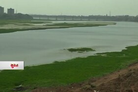 સુરતની તાપી નદી ગંદકી અને જળ કુંભીને લઈને પ્રદુષિત