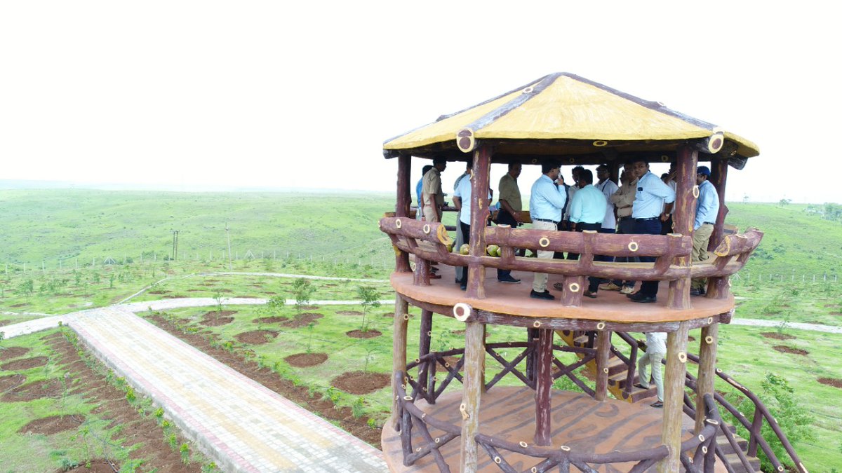 અહીં 4.40 હેકટર વિસ્તારમાં વિકાસ પામી રહેલા આરોગ્ય વનમાં 71 જાતના 3446 ઔષધિય રોપા રોપવામાં આવ્યાં છે. દરેક રોપાની આગળ તેનું નામ અને કયા રોગમાં ઉપયોગી છે તેની માહિતી પણ રાખવામાં આવી છે. અહીં 4.40 હેકટર વિસ્તારમાં વિકાસ પામી રહેલા આરોગ્ય વનમાં 71 જાતના 3446 ઔષધિય રોપા રોપવામાં આવ્યાં છે. દરેક રોપાની આગળ તેનું નામ અને કયા રોગમાં ઉપયોગી છે તેની માહિતી પણ રાખવામાં આવી છે.