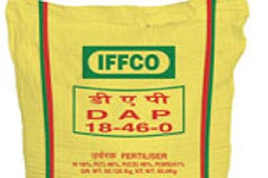 શું હોય છે DAP - ડીએપીનું પૂરૂ નામ ડાઈઅમોનિયમ ફોસ્ફેટ હોય છે. આ ખાતરમાં અડધાથી વધારે માત્રામાં ફોસ્ફરસ હોય છે. તેનો કેટલોક ભાગ પાણીમાં ઘુલનશીલ હોય છે, જ્યારે કેટલોક ભાગ માટીમાં મળી જાય છે. શું હોય છે DAP - ડીએપીનું પૂરૂ નામ ડાઈઅમોનિયમ ફોસ્ફેટ હોય છે. આ ખાતરમાં અડધાથી વધારે માત્રામાં ફોસ્ફરસ હોય છે. તેનો કેટલોક ભાગ પાણીમાં ઘુલનશીલ હોય છે, જ્યારે કેટલોક ભાગ માટીમાં મળી જાય છે.