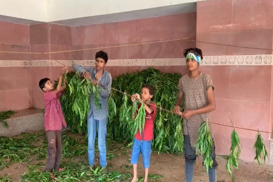 શનિવારે શ્રી કૃષ્ણ જન્માષ્ટમી મહોત્સવ સમગ્ર દેશમાં ભાવ અને શ્રદ્ધાપૂર્વક ઉજવવામાં આવનાર છે. ખાસ કરીને રાજ્યના ડાકોર દ્વારકા અને ત્યાર બાદ શામળાજી મંદિર ખાતે જન્માષ્ટમી મહોત્સવ દબદબા ભેર ઉજવવામાં આવનાર છે. ત્યારે ભગવાન શ્રી કૃષ્ણ જન્મોત્સવને ઉજવવા યાત્રાધામ ખાતે અનેરો ઉત્સાહ જોવા મળી રહ્યો છે. મંદિર ટ્રસ્ટ દ્વારા મંદિરને લાઈટો આસોપાલવ,કેળ,વાંસ તેમજ ફૂલોથી શણગારવાની કામગીરી ચાલુ કરવામાં આવી છે. ગામના યુવાનો દ્વારા પણ સમગ્ર યાત્રાધામને આસોપાલવ અને મટકી ઓના તોરણોથી શણગારવામાં આવી રહ્યું છે. શનિવારે શ્રી કૃષ્ણ જન્માષ્ટમી મહોત્સવ સમગ્ર દેશમાં ભાવ અને શ્રદ્ધાપૂર્વક ઉજવવામાં આવનાર છે. ખાસ કરીને રાજ્યના ડાકોર દ્વારકા અને ત્યાર બાદ શામળાજી મંદિર ખાતે જન્માષ્ટમી મહોત્સવ દબદબા ભેર ઉજવવામાં આવનાર છે. ત્યારે ભગવાન શ્રી કૃષ્ણ જન્મોત્સવને ઉજવવા યાત્રાધામ ખાતે અનેરો ઉત્સાહ જોવા મળી રહ્યો છે. મંદિર ટ્રસ્ટ દ્વારા મંદિરને લાઈટો આસોપાલવ,કેળ,વાંસ તેમજ ફૂલોથી શણગારવાની કામગીરી ચાલુ કરવામાં આવી છે. ગામના યુવાનો દ્વારા પણ સમગ્ર યાત્રાધામને આસોપાલવ અને મટકી ઓના તોરણોથી શણગારવામાં આવી રહ્યું છે.