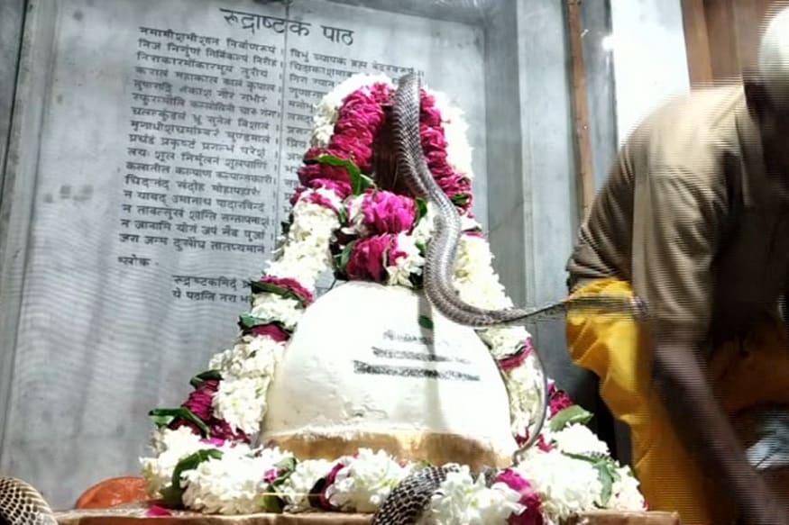 ઉલ્લેખનીય છે કે, શ્રાવણ મહિનામાં હવે અંતિમ હપ્તો બાકી છે. આ બચેલા દિવસોમાં પણ શિવ ભક્તો મહાદેવની આરાધના અને શ્રુંગારનો કોઈ મોકો નહીં છોડવા માંગતા, ભક્ત અલગ અલગ રીતે શિવ શંકરને ખુશ કરવામાં લાગ્યા છે. ઉલ્લેખનીય છે કે, શ્રાવણ મહિનામાં હવે અંતિમ હપ્તો બાકી છે. આ બચેલા દિવસોમાં પણ શિવ ભક્તો મહાદેવની આરાધના અને શ્રુંગારનો કોઈ મોકો નહીં છોડવા માંગતા, ભક્ત અલગ અલગ રીતે શિવ શંકરને ખુશ કરવામાં લાગ્યા છે.