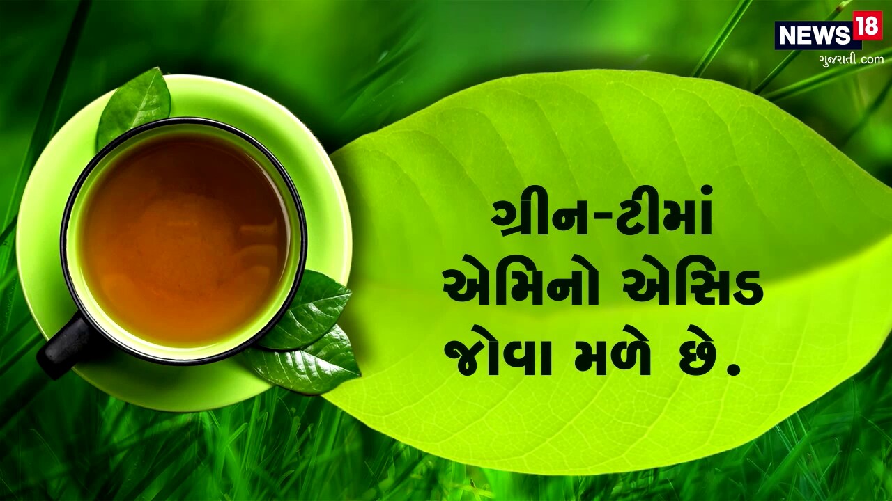 ગ્રીન ટી પીવાથી મેદસ્વીતા ખરેખર ઘટે? પેટ પરથી ચરબીના થર ઉતારવા ગ્રીન ટી કેટલી અસરકારક? જાણો આ કારણ ગ્રીન ટી પીવાથી મેદસ્વીતા ખરેખર ઘટે? પેટ પરથી ચરબીના થર ઉતારવા ગ્રીન ટી કેટલી અસરકારક? જાણો આ કારણ