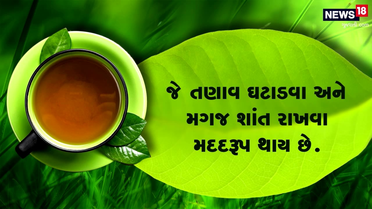 ગ્રીન ટી પીવાથી મેદસ્વીતા ખરેખર ઘટે? પેટ પરથી ચરબીના થર ઉતારવા ગ્રીન ટી કેટલી અસરકારક? જાણો આ કારણ ગ્રીન ટી પીવાથી મેદસ્વીતા ખરેખર ઘટે? પેટ પરથી ચરબીના થર ઉતારવા ગ્રીન ટી કેટલી અસરકારક? જાણો આ કારણ