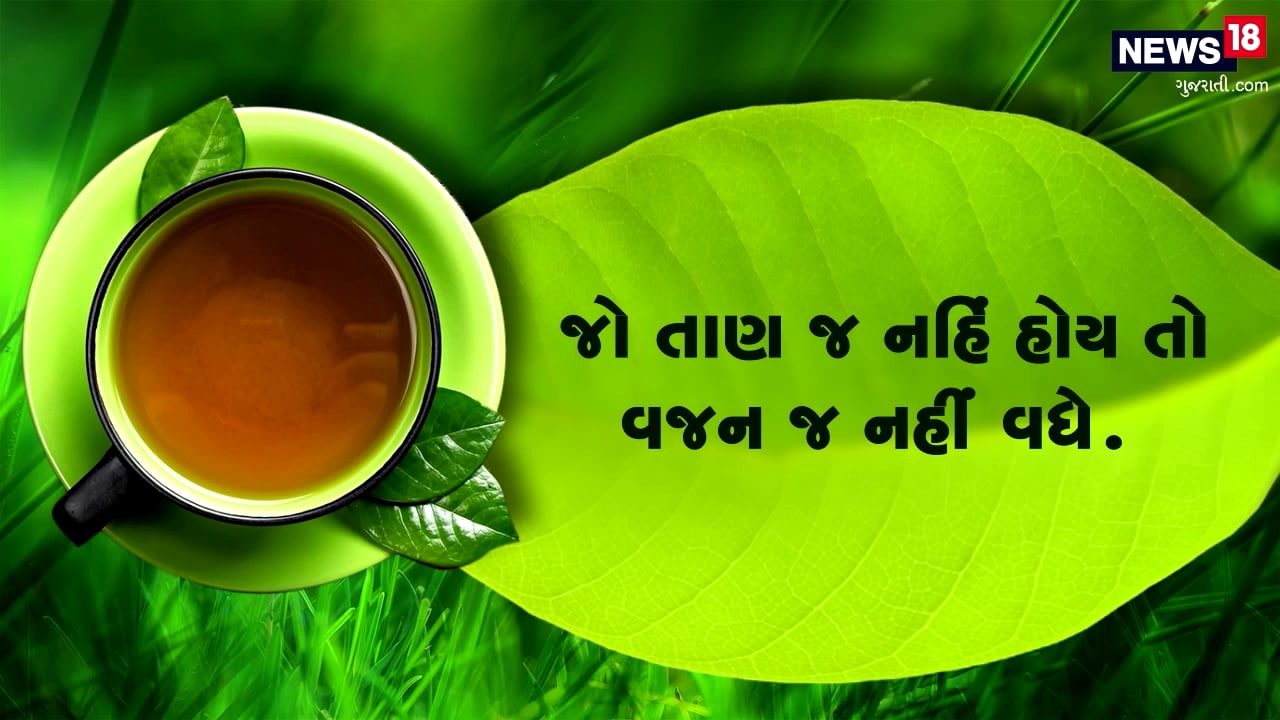 ગ્રીન ટી પીવાથી મેદસ્વીતા ખરેખર ઘટે? પેટ પરથી ચરબીના થર ઉતારવા ગ્રીન ટી કેટલી અસરકારક? જાણો આ કારણ ગ્રીન ટી પીવાથી મેદસ્વીતા ખરેખર ઘટે? પેટ પરથી ચરબીના થર ઉતારવા ગ્રીન ટી કેટલી અસરકારક? જાણો આ કારણ