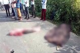 Video: બનાસકાંઠાનાં લાખણી-ગેળા રોડ પર અકસ્માત, ત્રણ સગા ભાઈઓનાં મોત